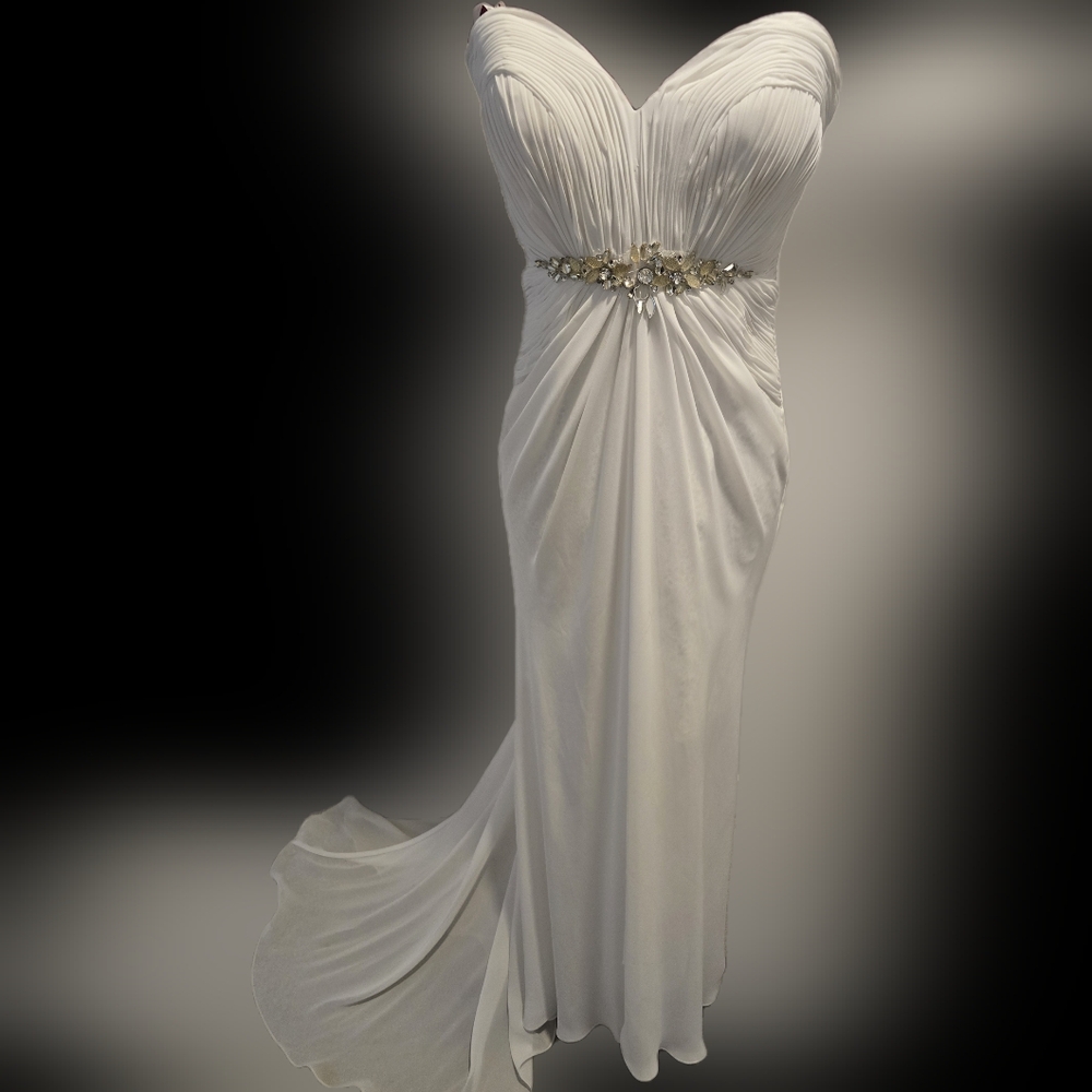 Anna rose gown, new with tags Size 8